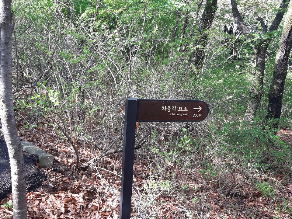 1-1556370760700.jpg