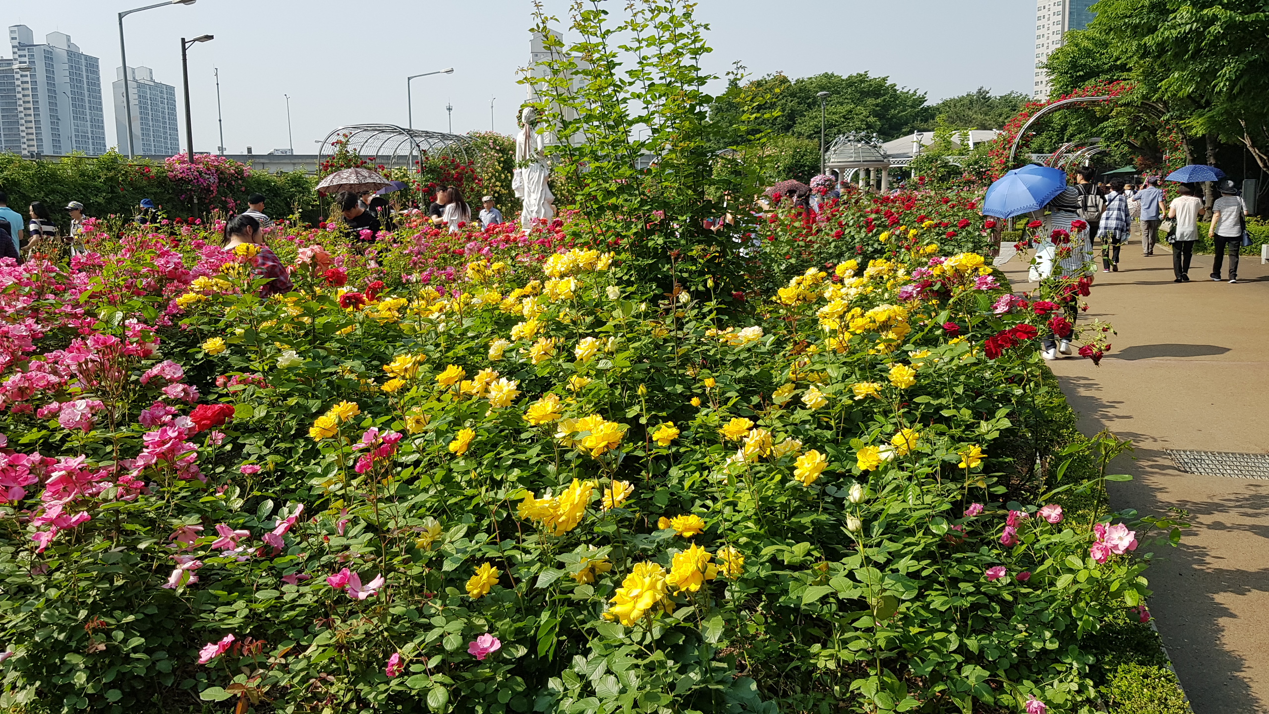 20190524_154728.jpg
